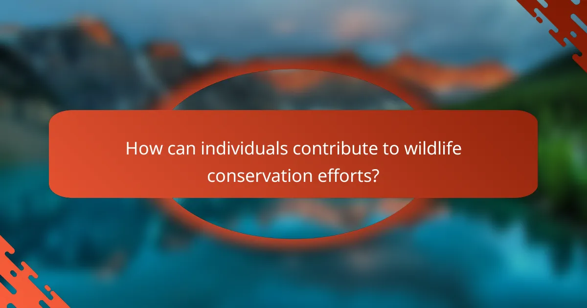 How can individuals contribute to wildlife conservation efforts?