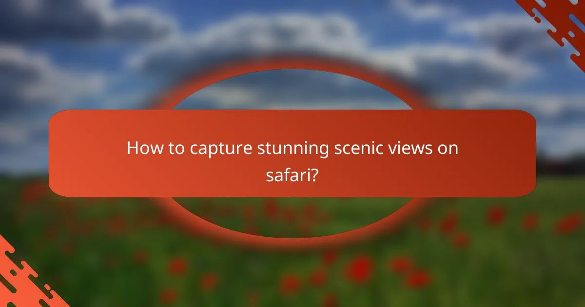 How to capture stunning scenic views on safari?