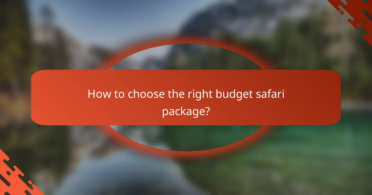 How to choose the right budget safari package?