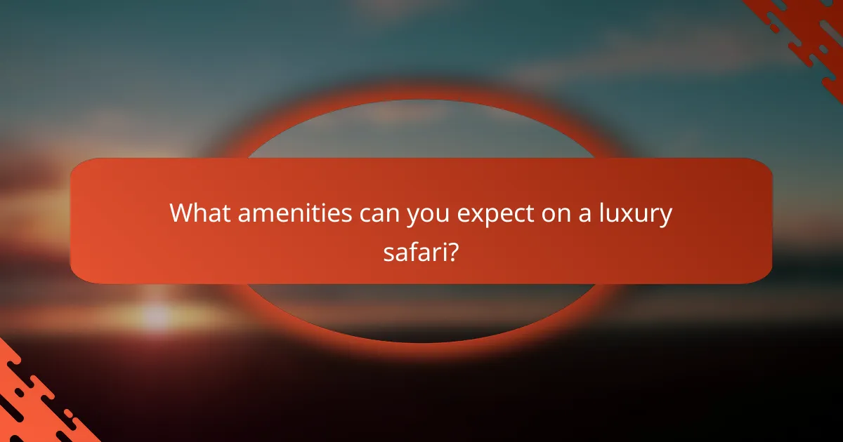 What amenities can you expect on a luxury safari?