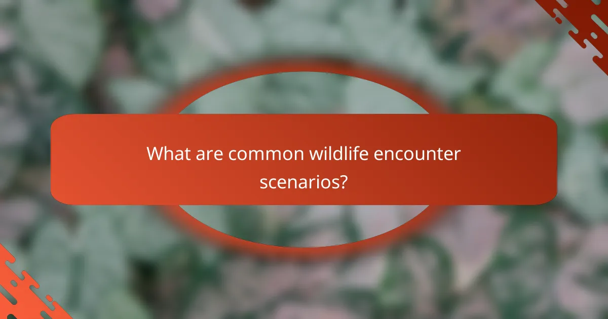 What are common wildlife encounter scenarios?