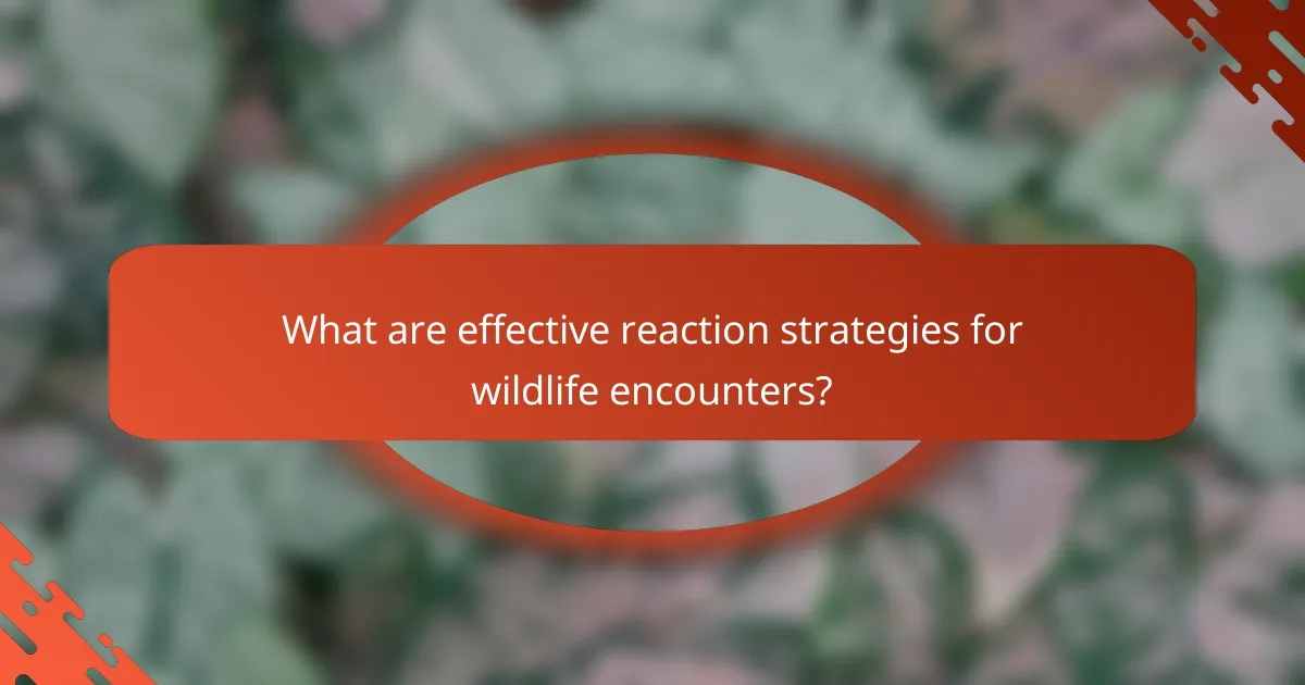 What are effective reaction strategies for wildlife encounters?