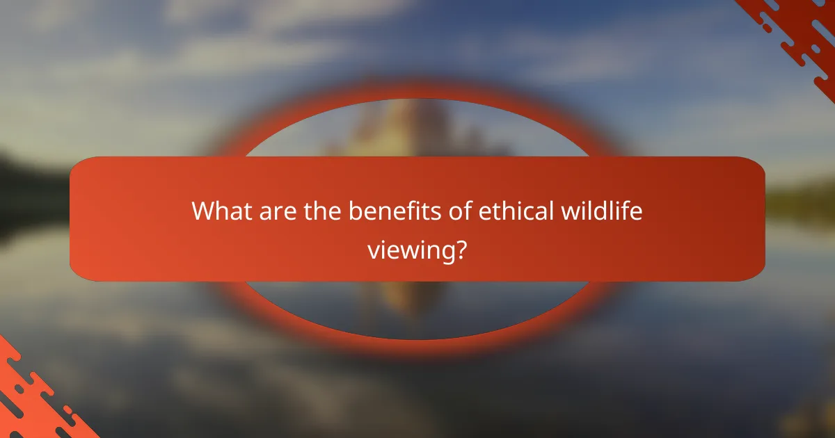 What are the benefits of ethical wildlife viewing?