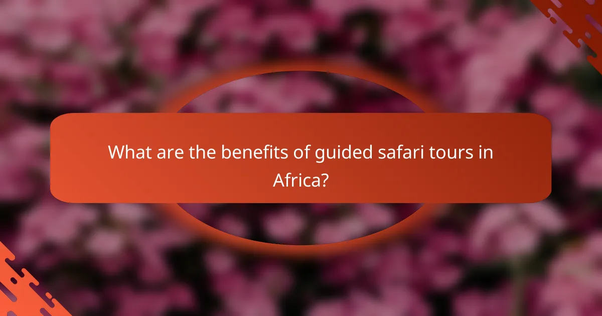 What are the benefits of guided safari tours in Africa?