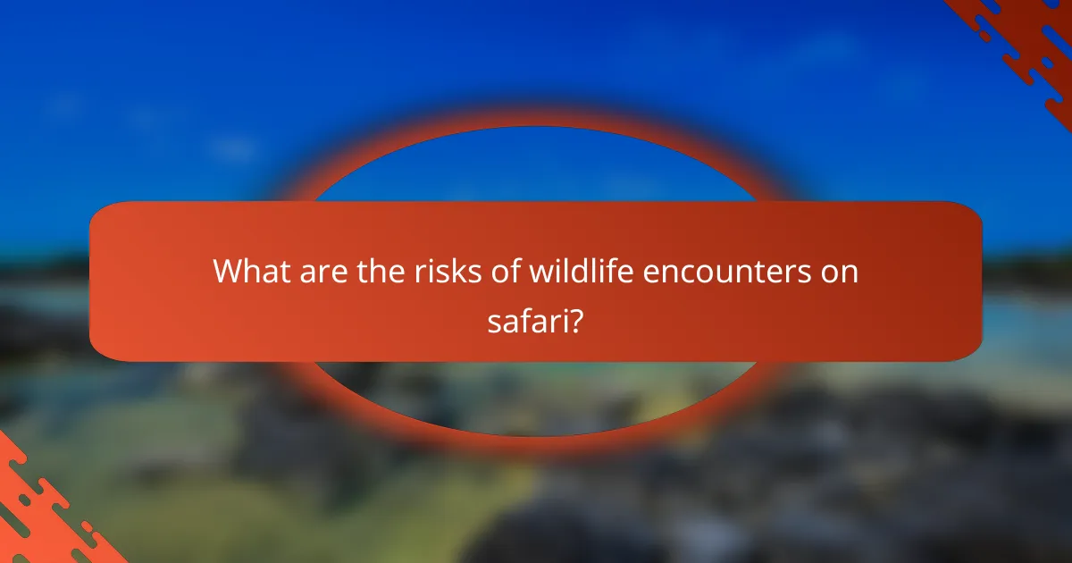 What are the risks of wildlife encounters on safari?