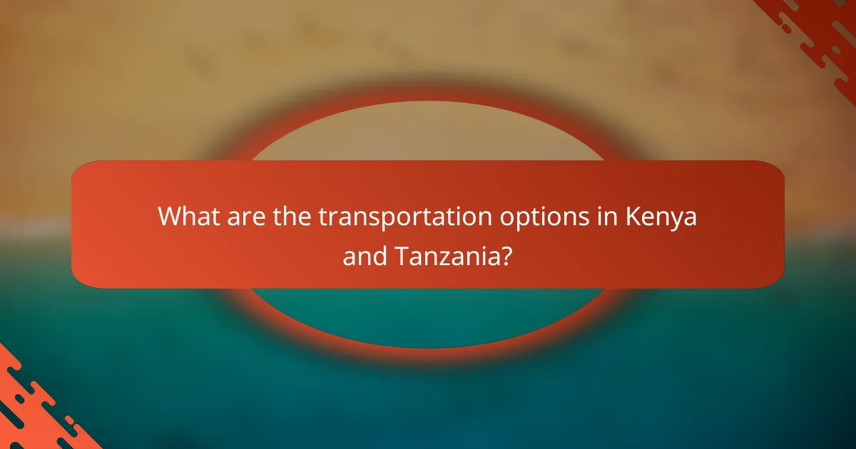 What are the transportation options in Kenya and Tanzania?