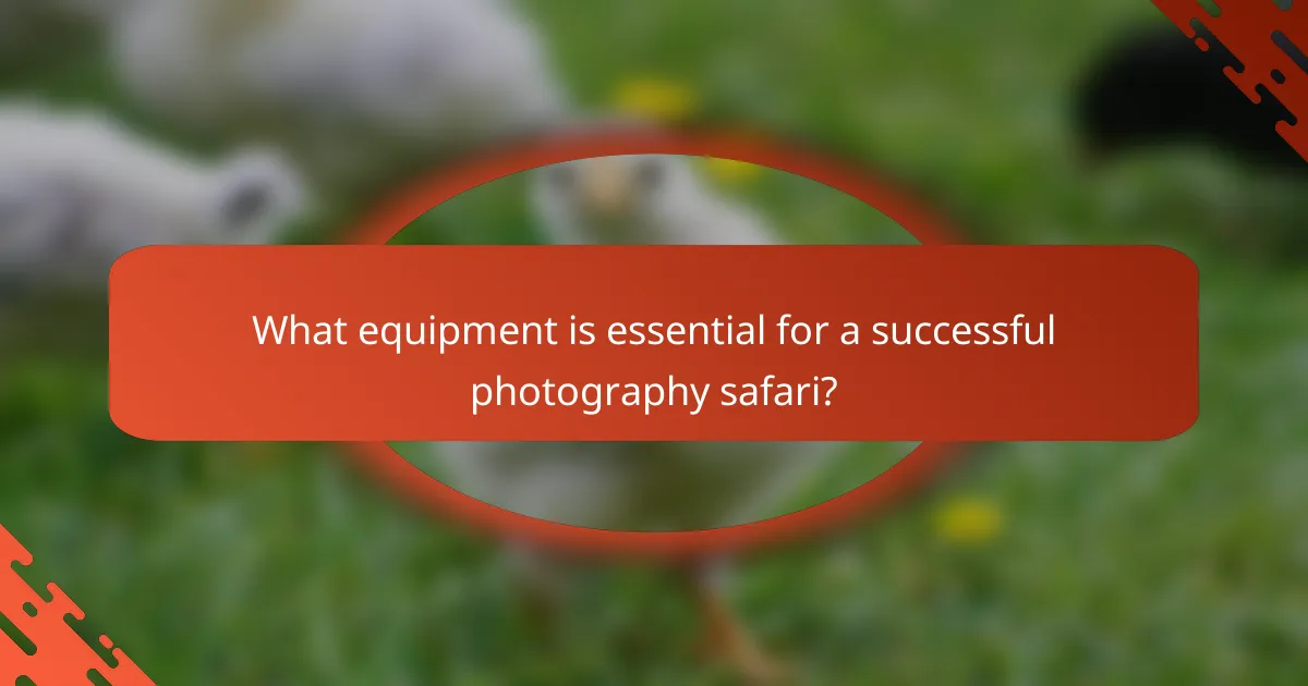 What equipment is essential for a successful photography safari?