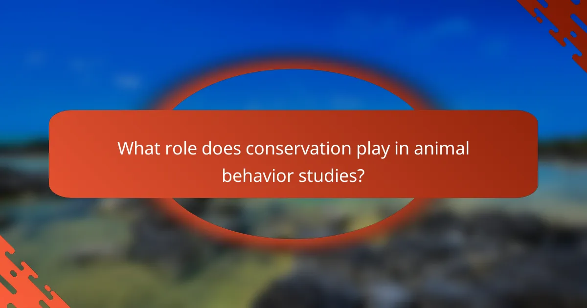 What role does conservation play in animal behavior studies?