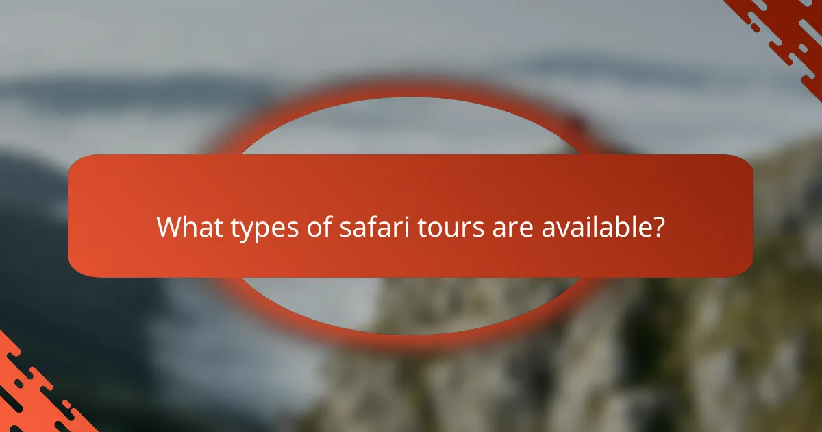 What types of safari tours are available?