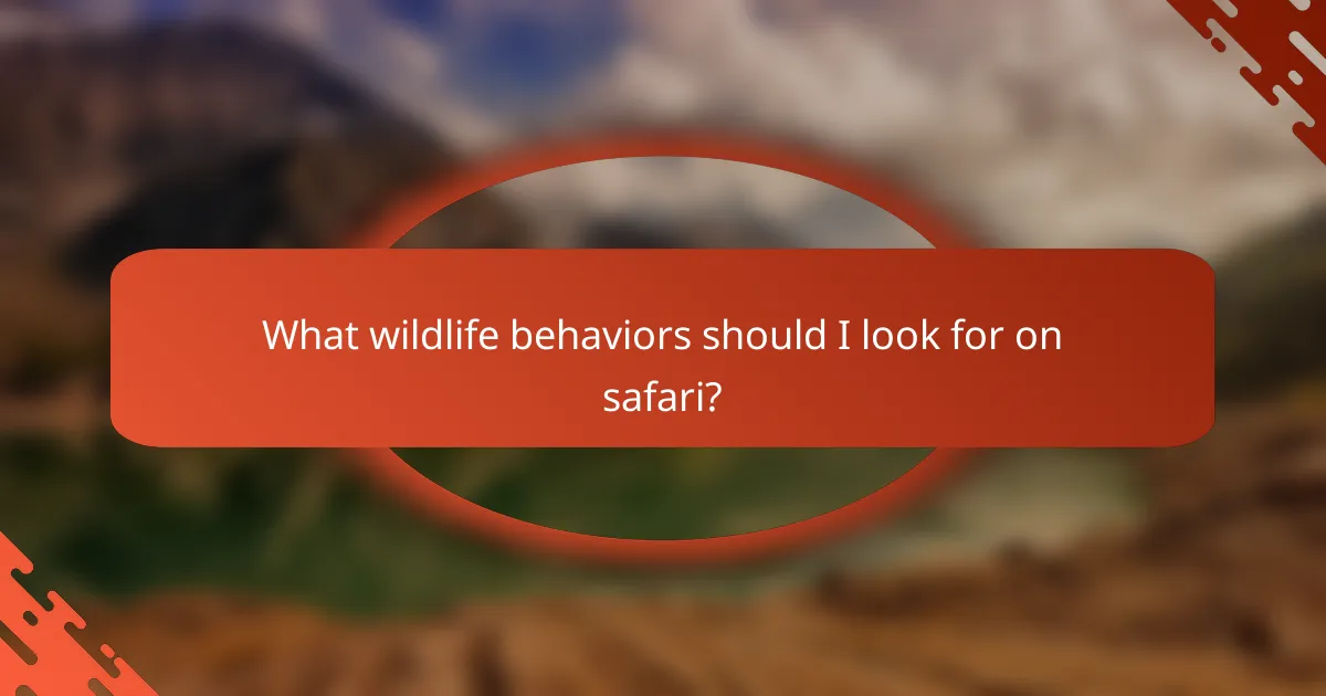 What wildlife behaviors should I look for on safari?