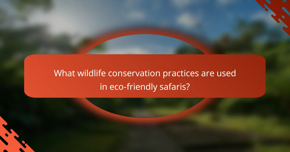 What wildlife conservation practices are used in eco-friendly safaris?